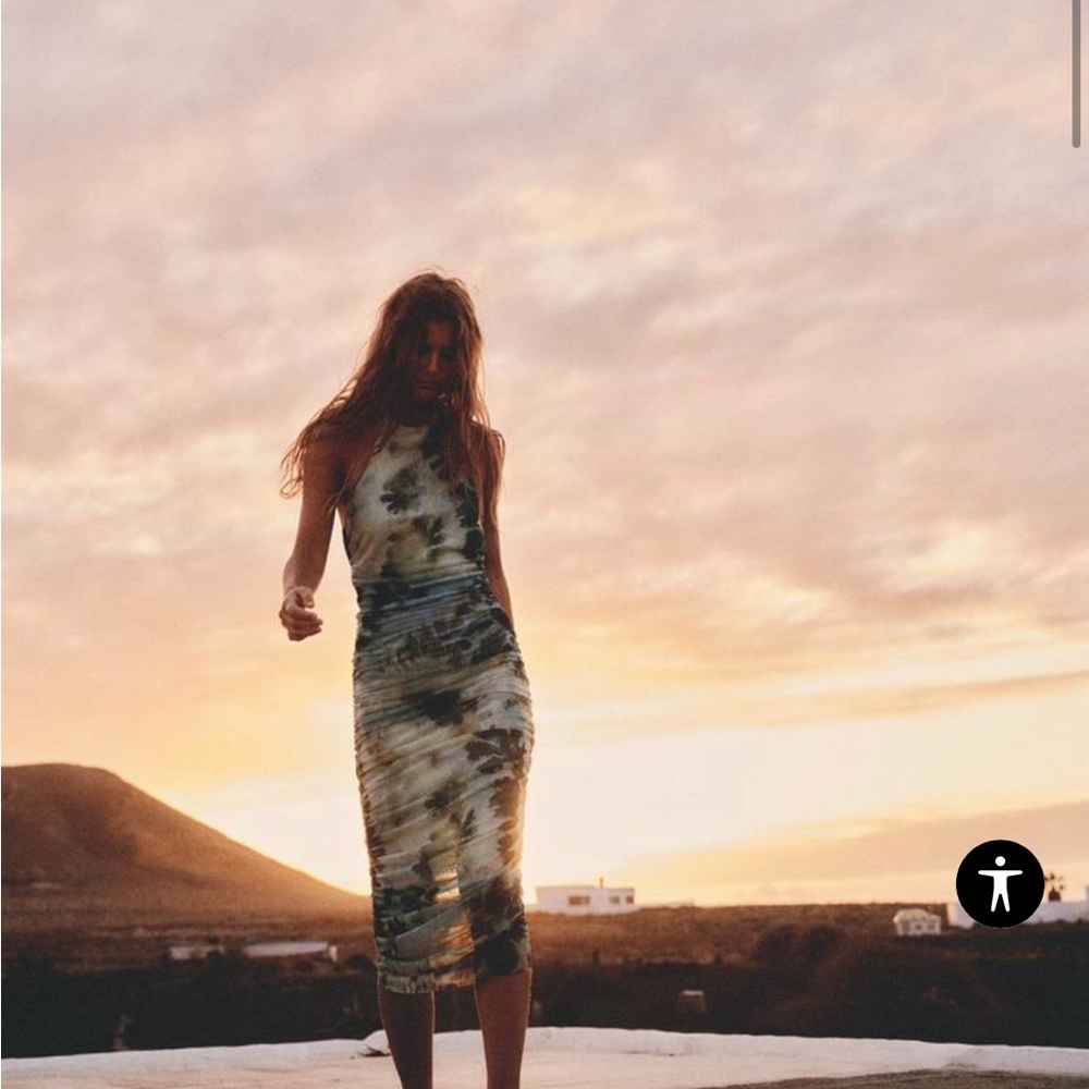 ZARA Printed Tulle Dress - never worn tags still attached